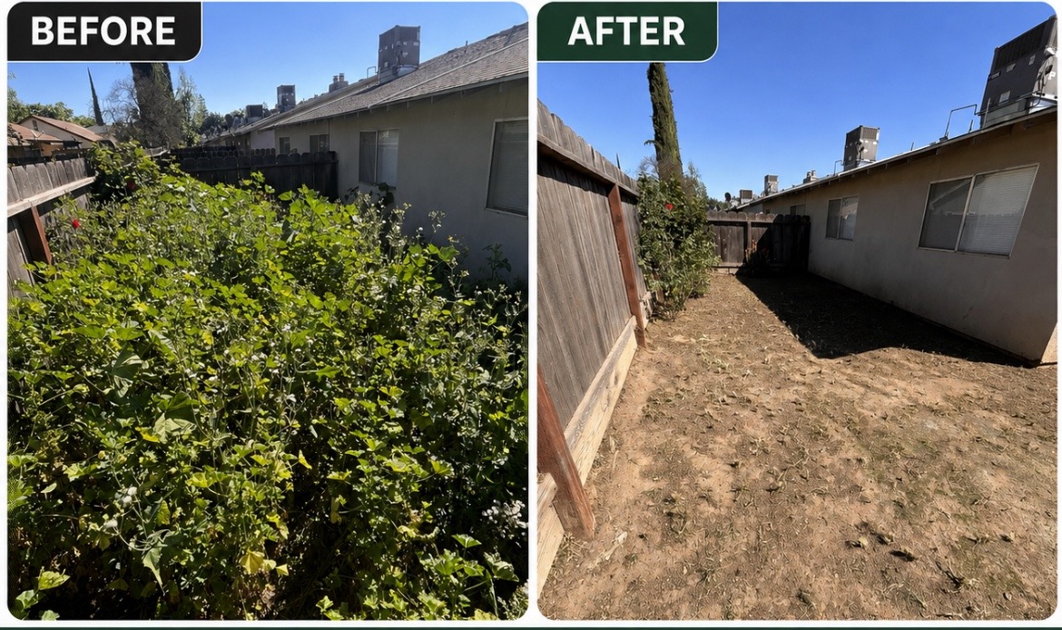 Real before and after backyard cleanup completed by LAINA