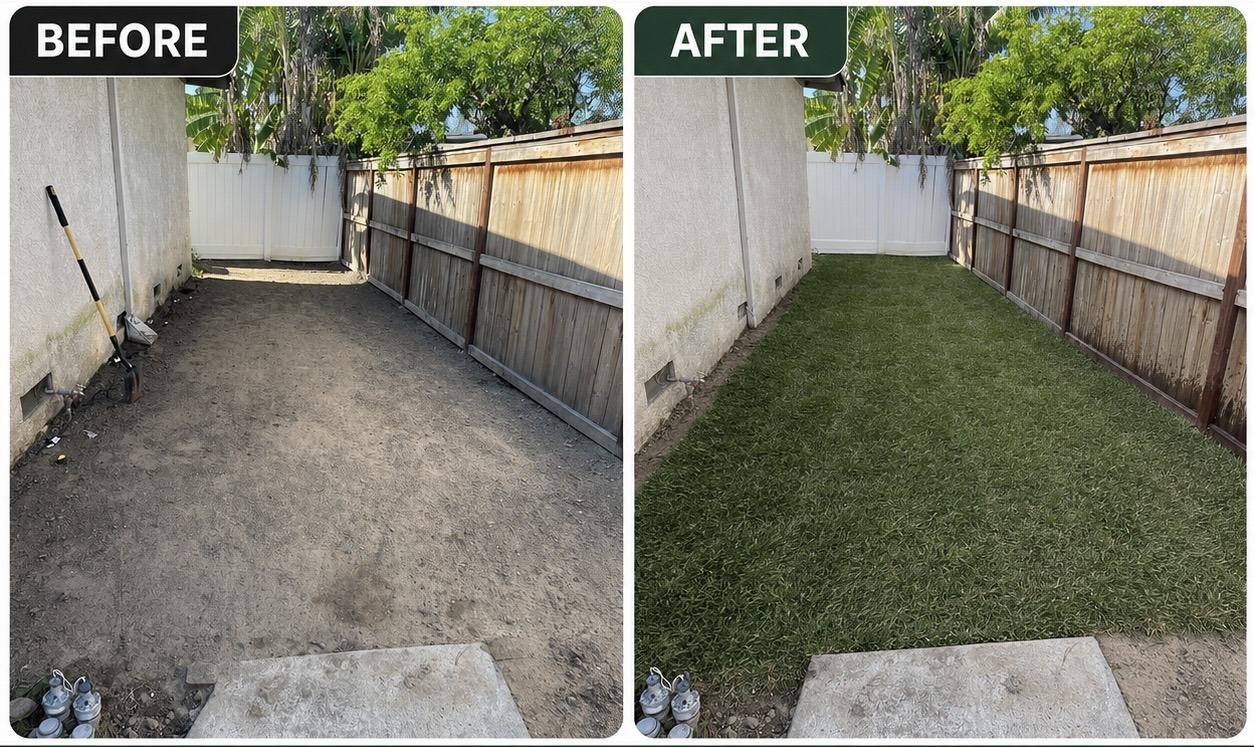 Before and after backyard turf improvement completed by LAINA in Stanislaus County
